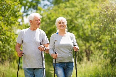 Two older individuals wearing sweats outside using black trekking poles walking in a green summer forest.