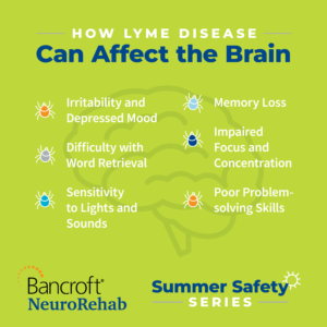 how lymes disease affects the brain